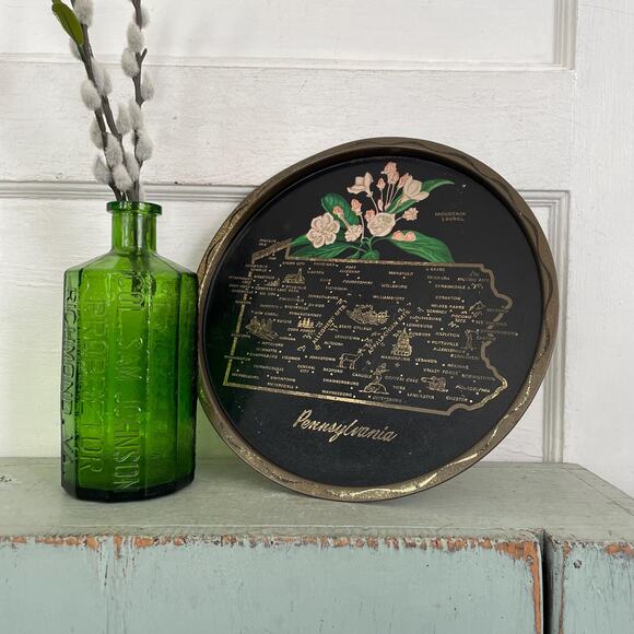 Vintage Round Black Tin Tray State Souvenir Serving Pennsylvania PA Pink Flower - Picture 2 of 7